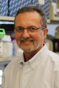 Wellington V. Cardoso, MD, PhD Profile Headshot
